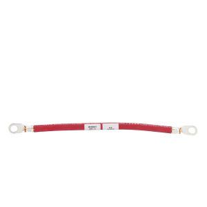 Rental Services - Puentes de bateria 2